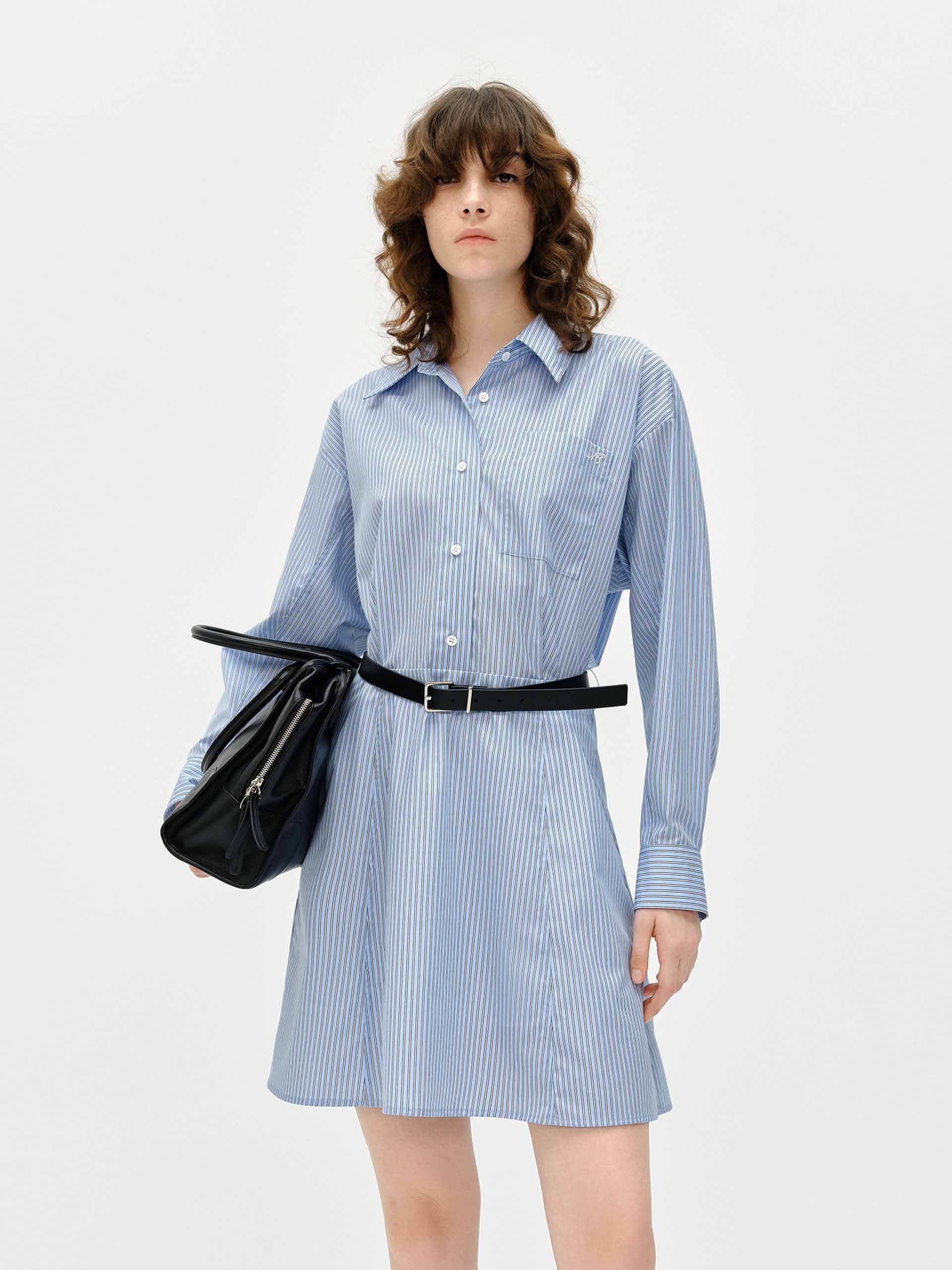 Pinstripe Shirt Dress