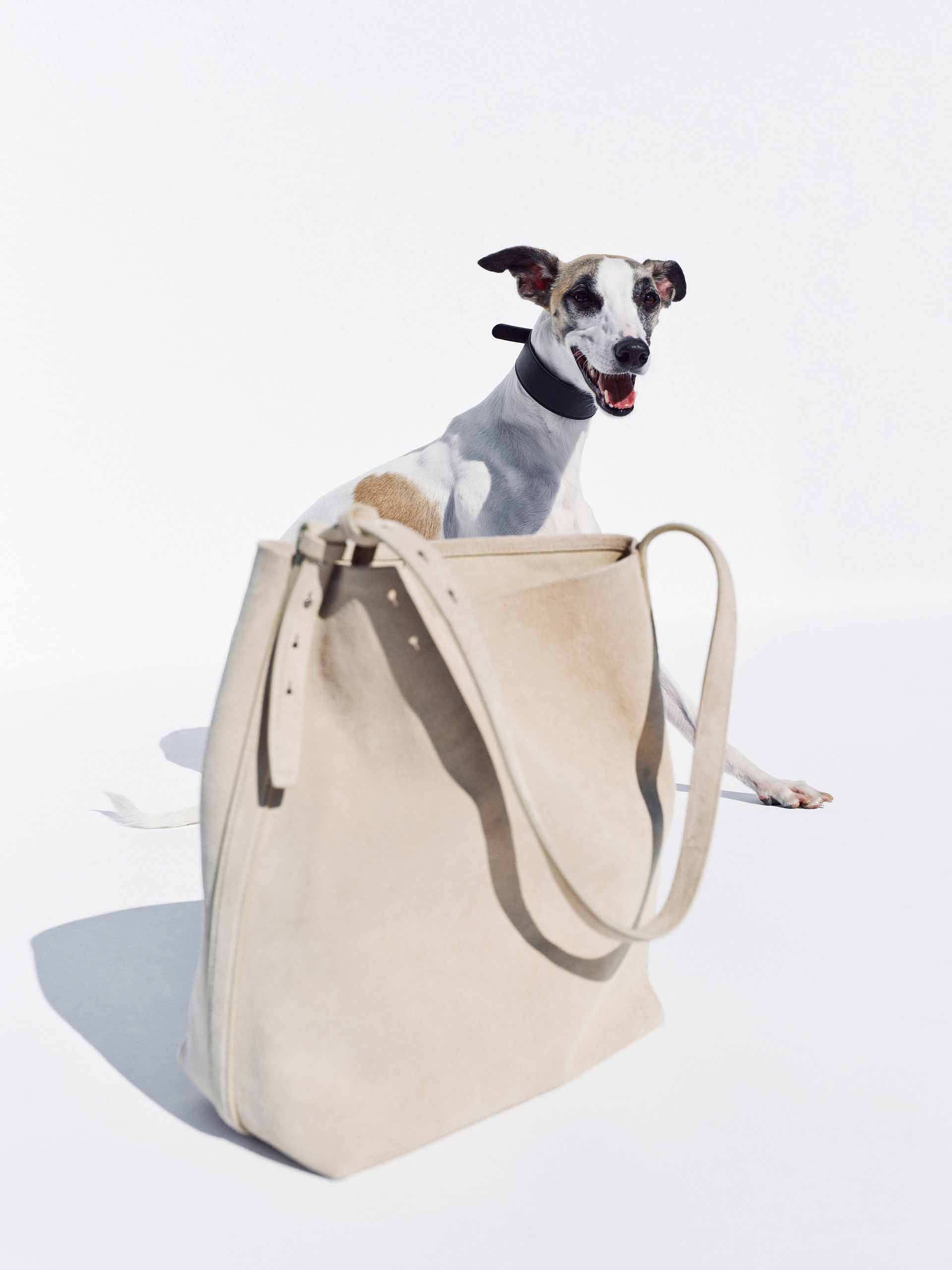 Suede-Texture Bucket Bag - Image 7